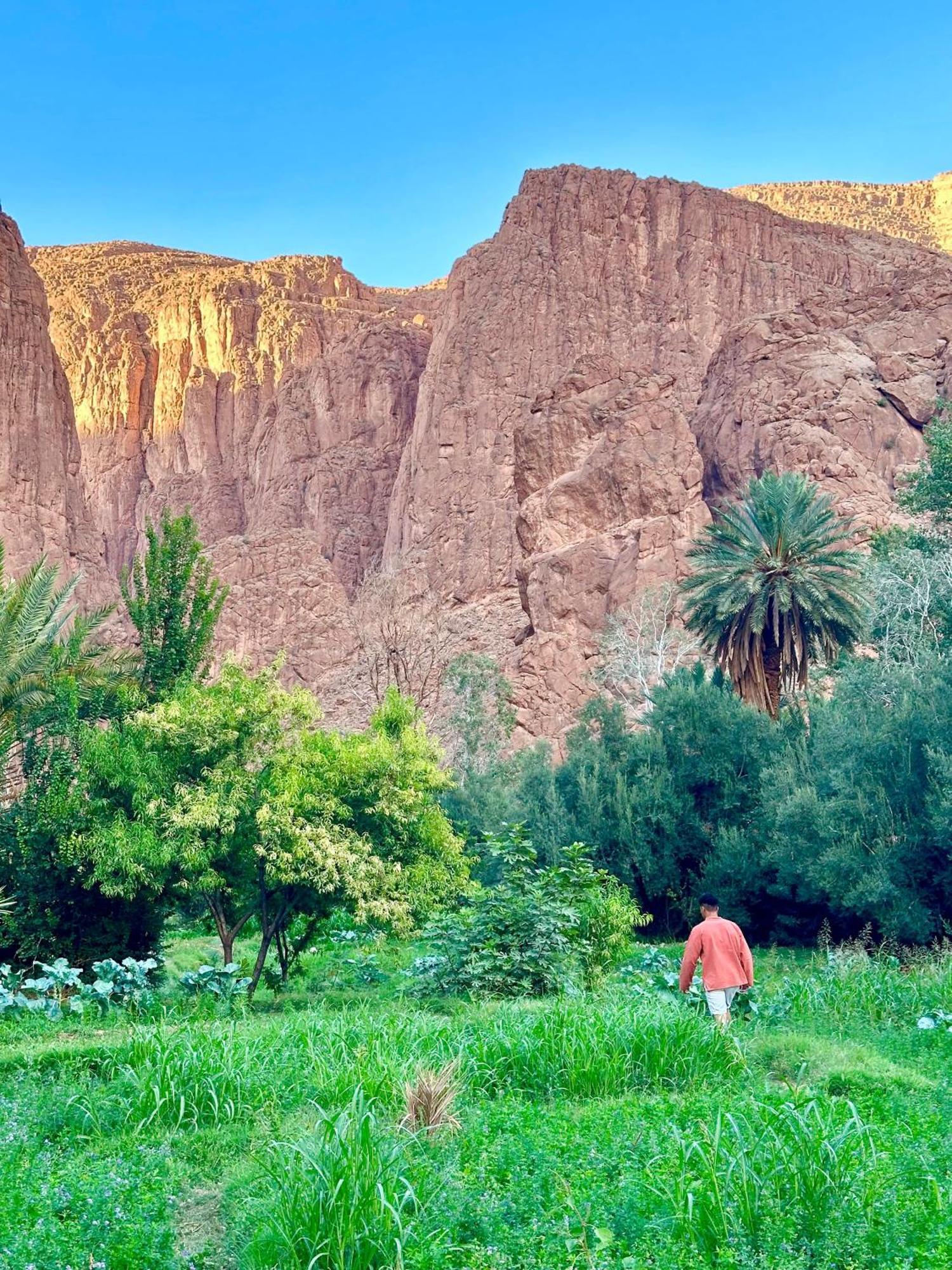 Dar Relax Hostel, Gorges De Todra تنغير المظهر الخارجي الصورة